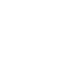 Patients Assisted